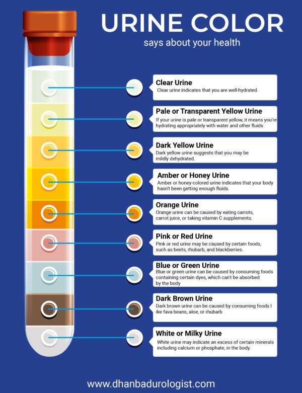 Urine: What Color and Smell Say About Your Health