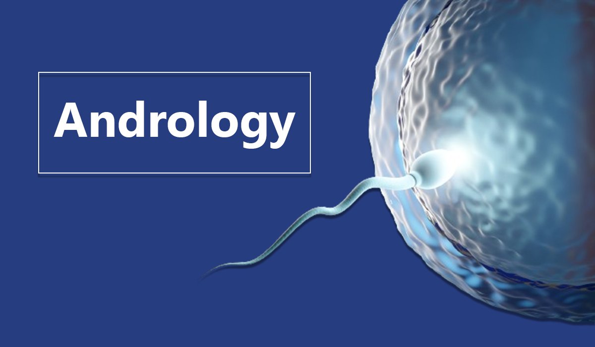 Andrology What Does This Specialist Do And When Should You See One 1315