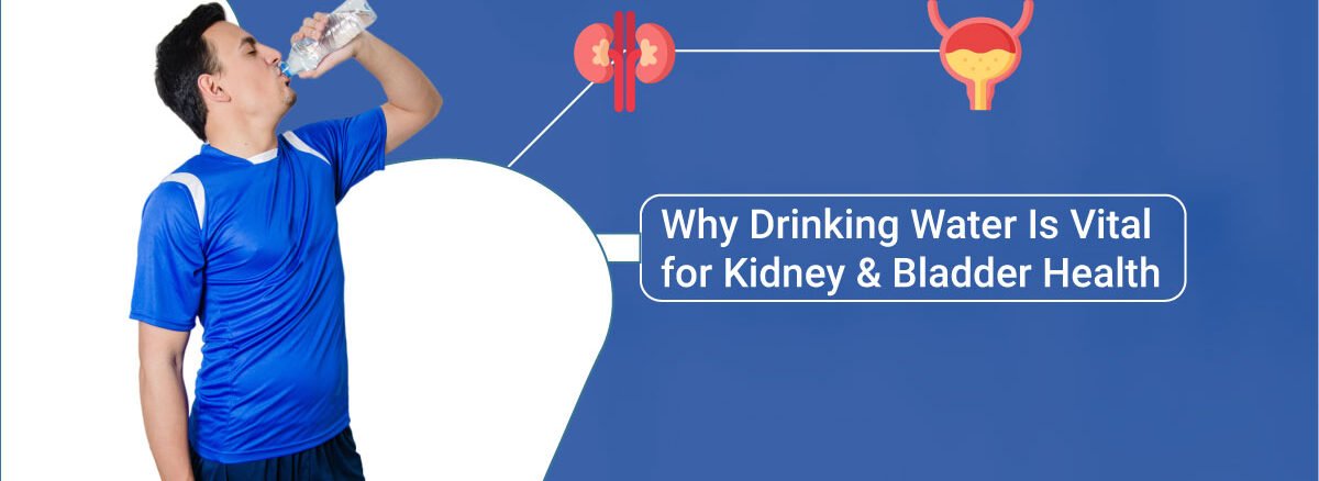 Kidney And Bladder Health