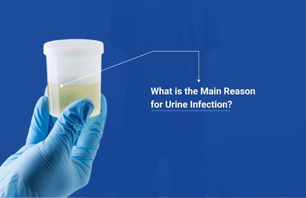 What is the Main Reason for Urine Infection