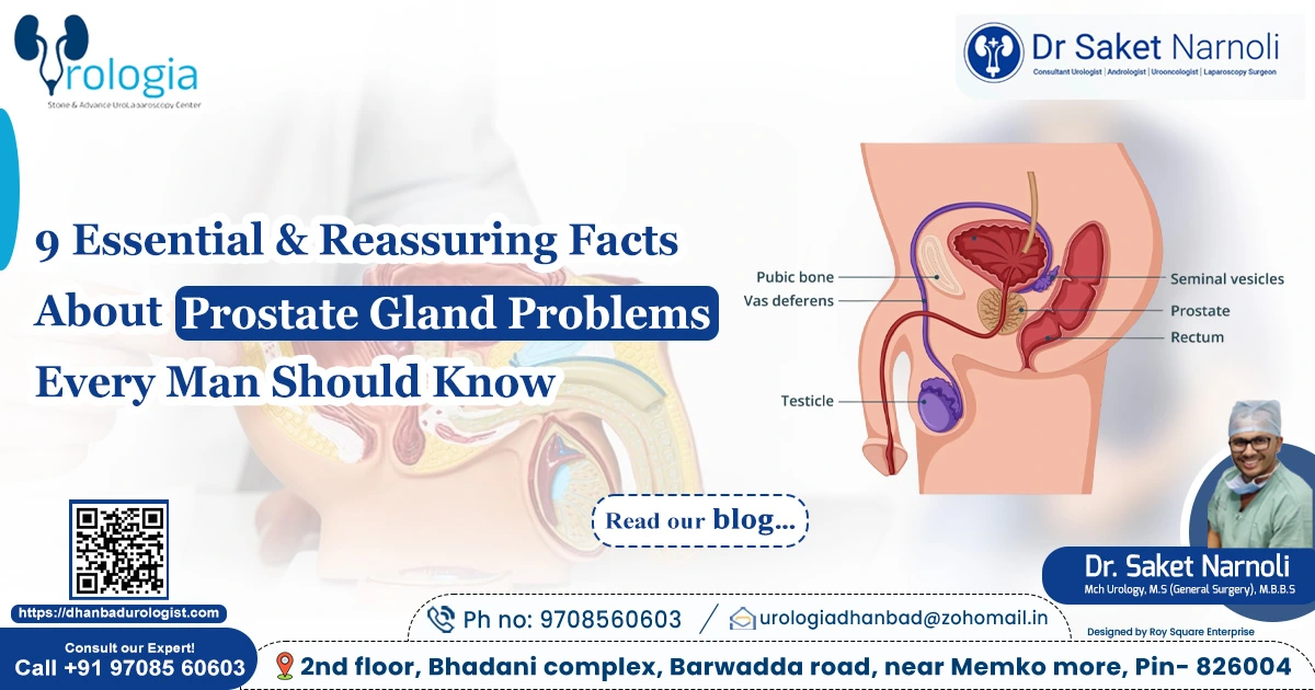 Prostate Gland Problems