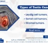 Types of Testis Cancer