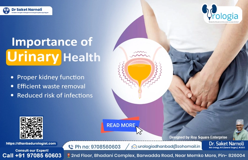 Importance of Urinary Health