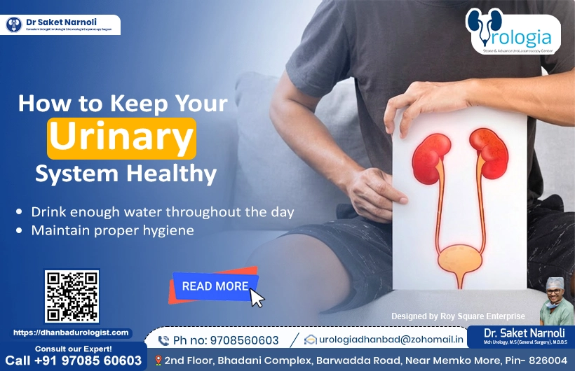 How to Keep Your Urinary System Healthy