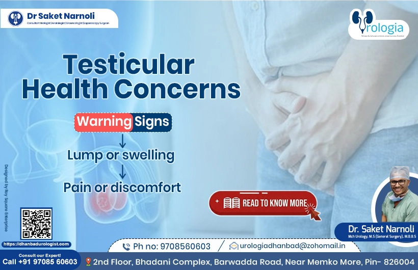 Testicular Health Concerns