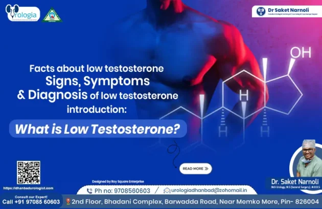 Facts About Low Testosterone Signs, Symptoms and Diagnosis of Low Testosterone